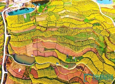 綠色發(fā)展，讓中國(guó)更美麗