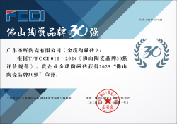 T/FCCI011-2024《佛山陶瓷品牌30強評價規范》