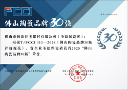 T/FCCI011-2024《佛山陶瓷品牌30強評價規范》